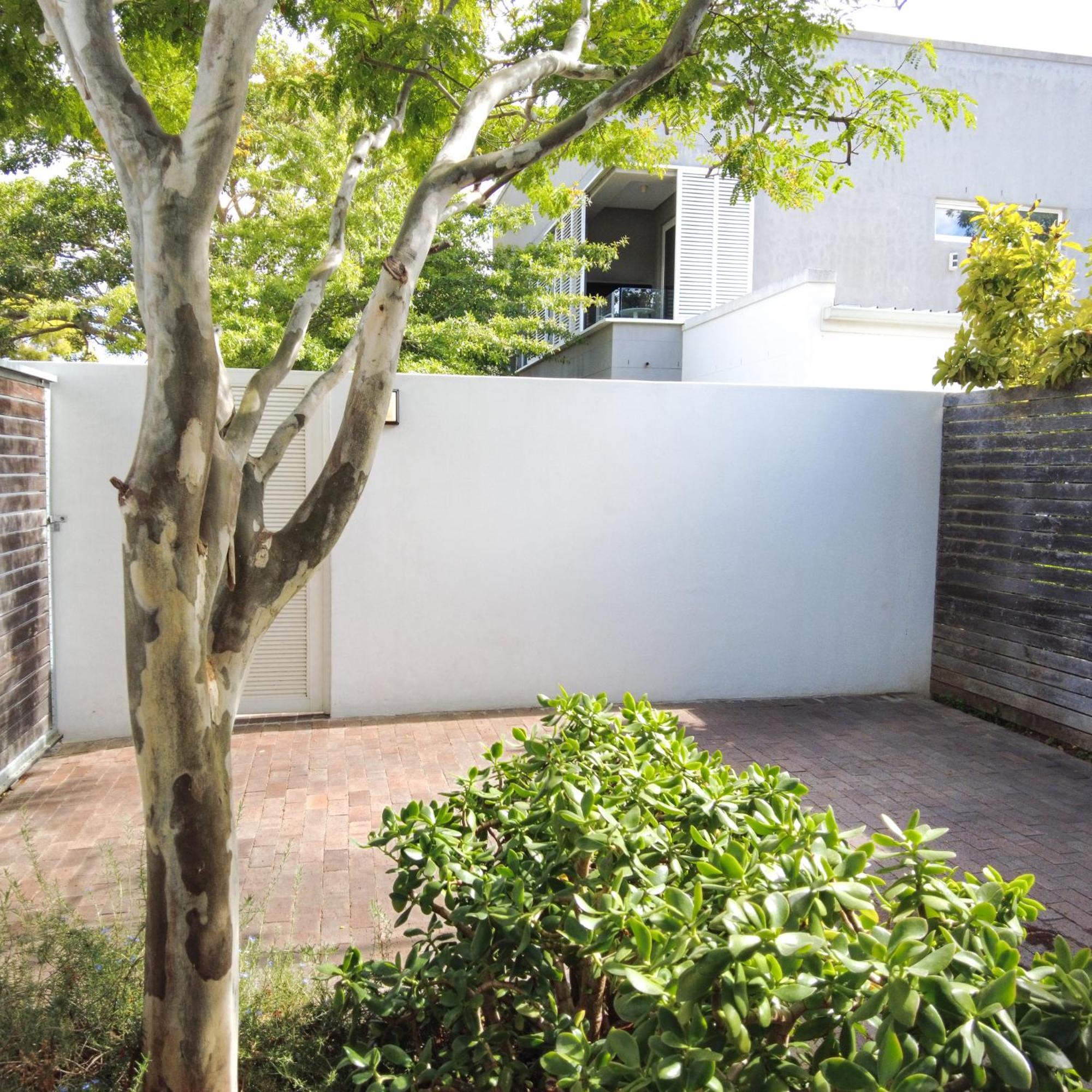 Laanhof Studios Stellenbosch Zewnętrze zdjęcie